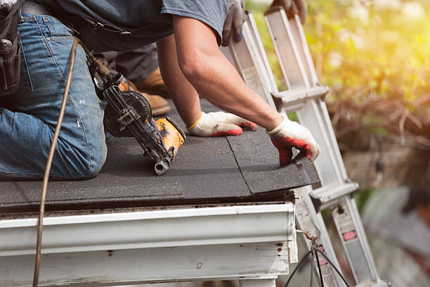 Roof Waterproofing Services in White Mountain Lake, AZ